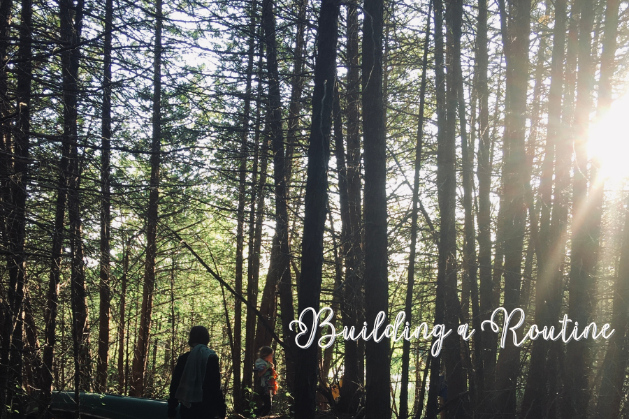 A family walks through a forest of trees in the sun